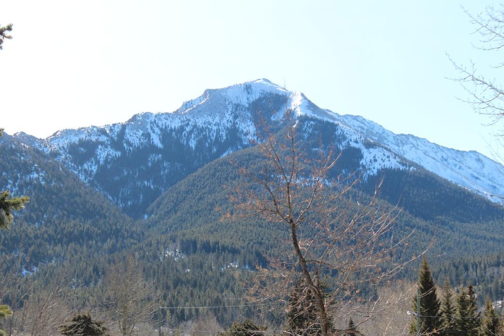 The Cosmopolitan Hotel Blairmore Exterior foto
